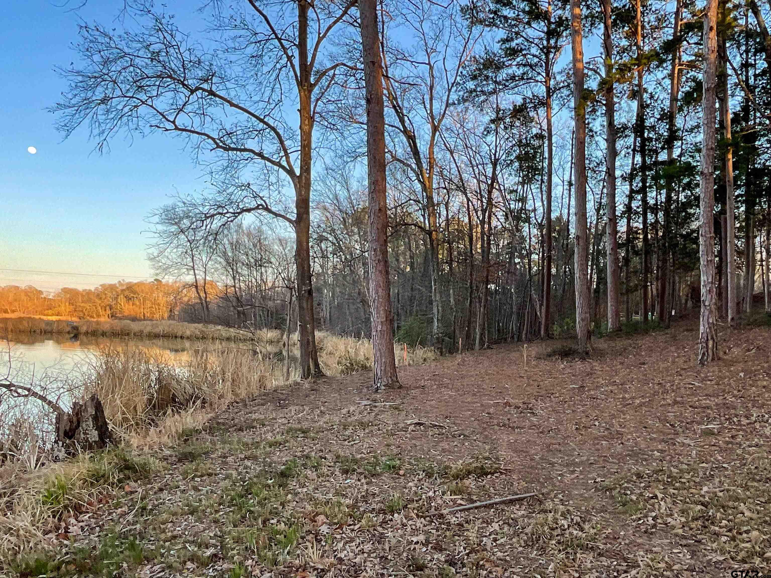17961 Gordons Landing Road Arp, TX 75750 - Photo 9 of 19 a view of lake with mountain