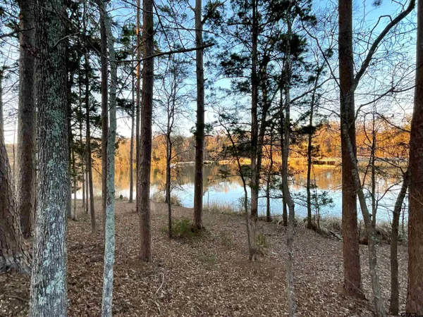 a view of a park with large trees