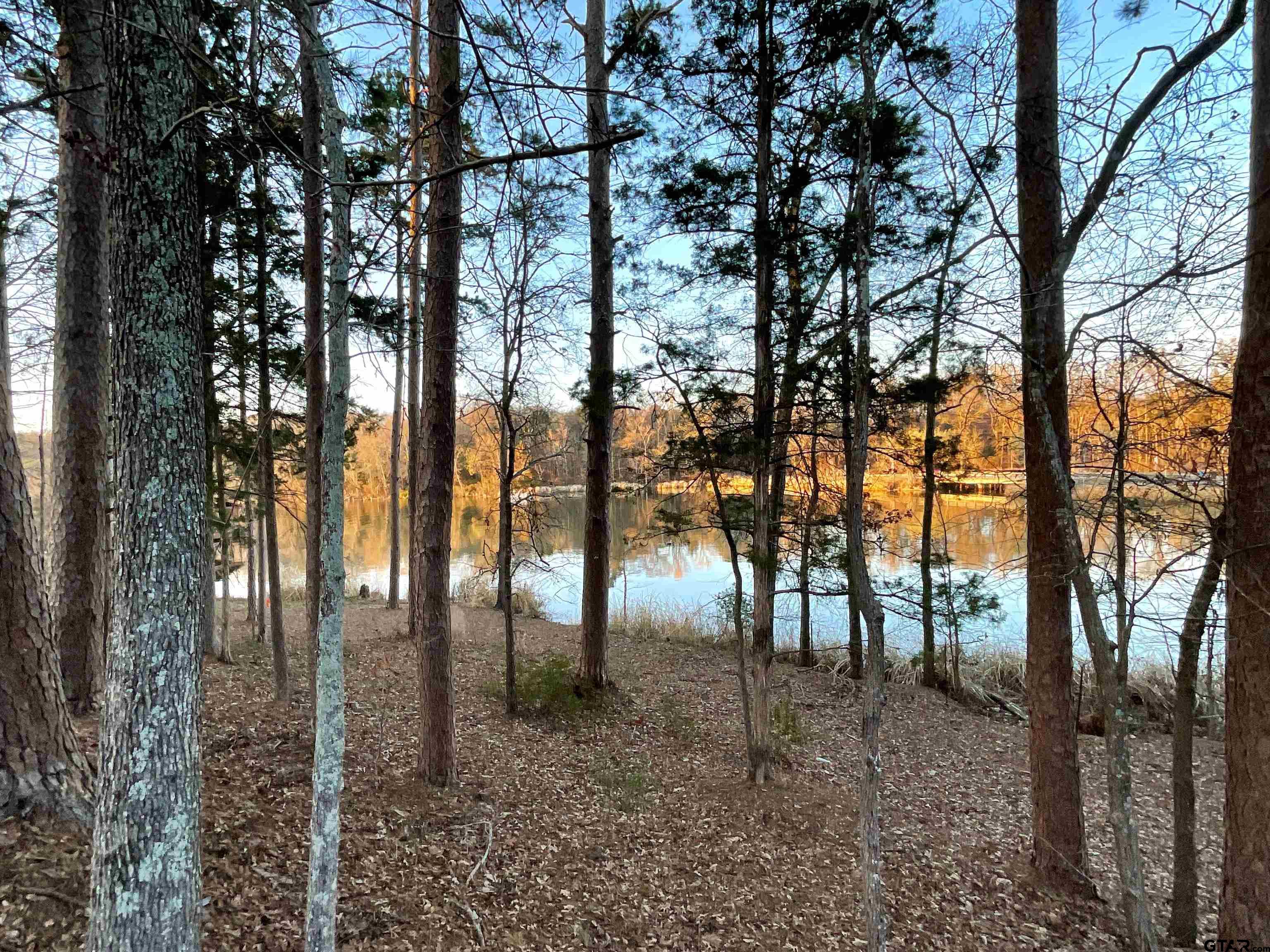 17961 Gordons Landing Road Arp, TX 75750 - Photo 10 of 19