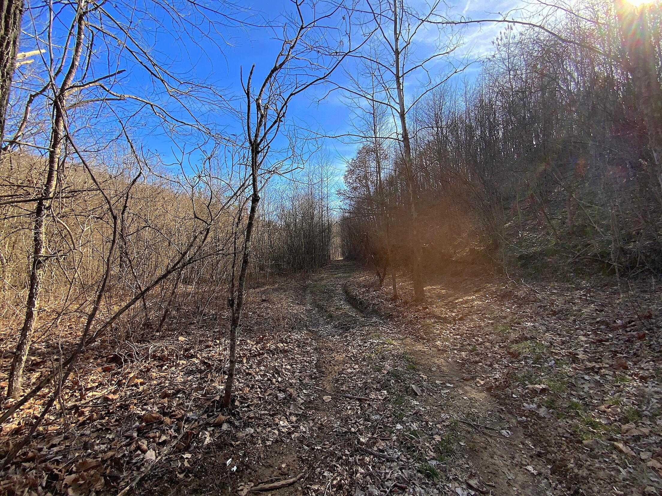 0 Kelly Road Ray, OH 45672 - Photo 24 of 46 Vinton County Kelly Rd 23