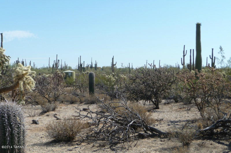 Xx South Cattle Tank Road, Unit 11 48) Marana, AZ 85658 - Photo 9 of 19