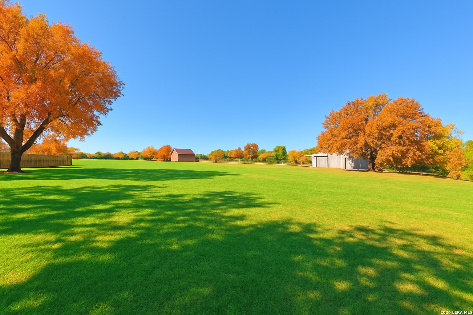 857 Madrona Road Pipe Creek, TX 78063 - Photo 48 of 49 a view of field with grass and trees