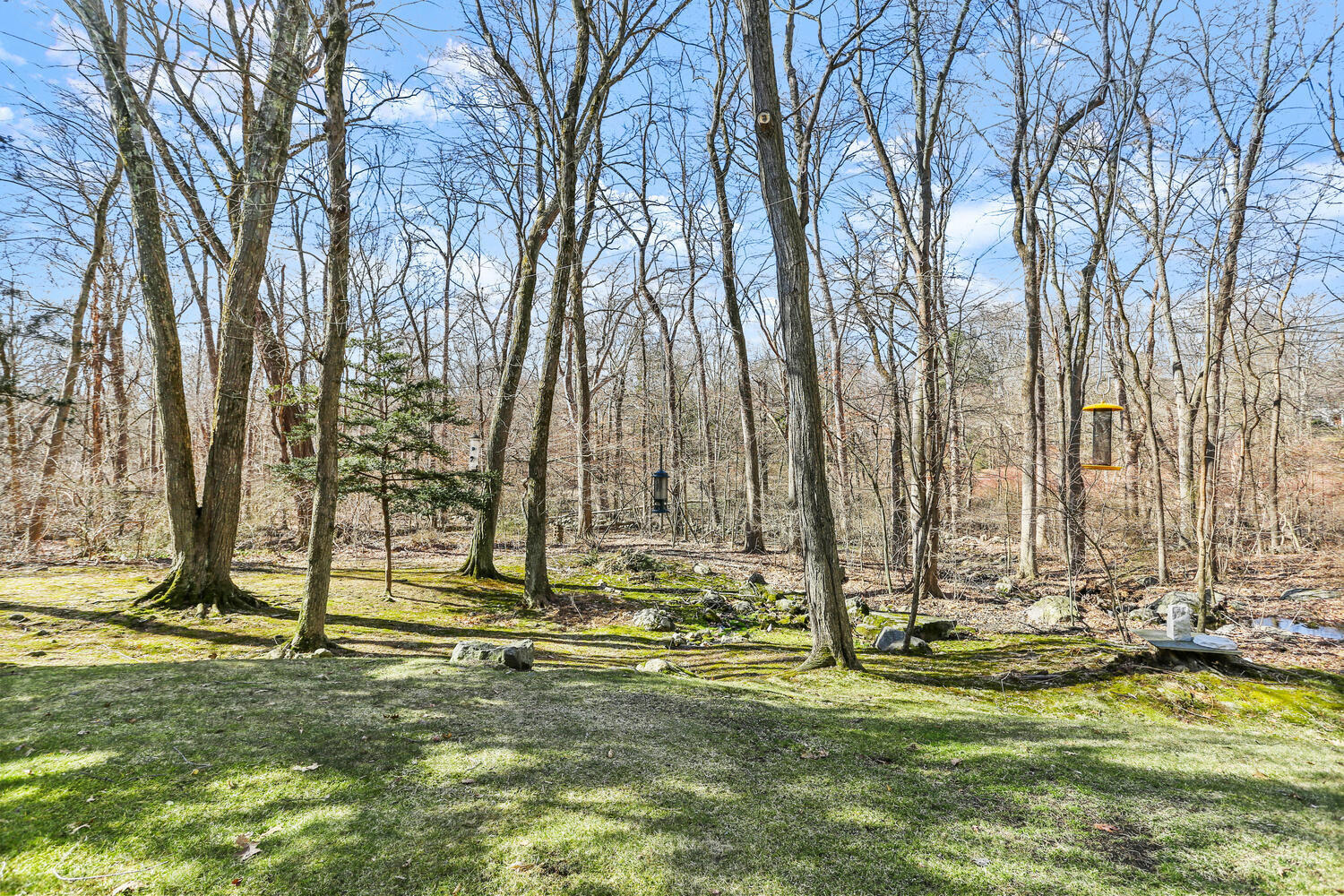 215 Marvin Ridge Road New Canaan, CT 06840 - Photo 27 of 31 a view of swimming pool with lawn chairs and large trees