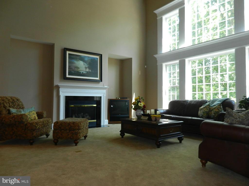 22526 Evergreen Mills Road Ashburn, VA 20148 - Photo 11 of 30 a living room with furniture and a fireplace