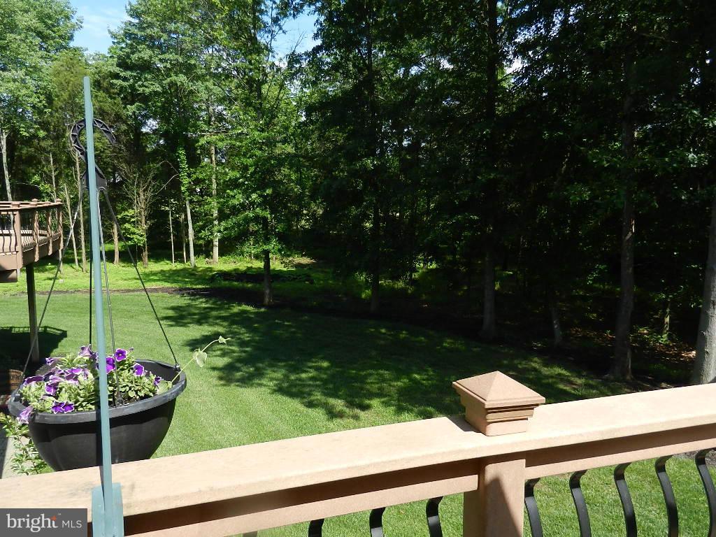 22526 Evergreen Mills Road Ashburn, VA 20148 - Photo 30 of 30 a garden view with a seating space