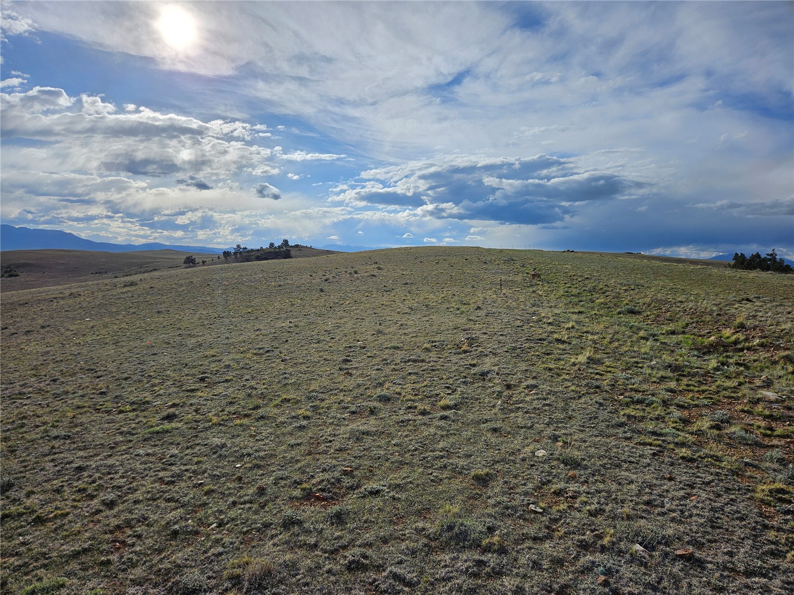 Pcs#24139 Antero Road Hartsel, CO 80449 - Photo 40 of 41