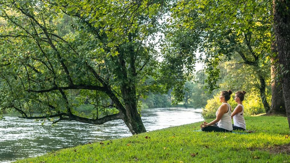 Hc9 Old Toccoa Loop Mineral Bluff, GA 30559 - Photo 40 of 41 a view of a park with large trees