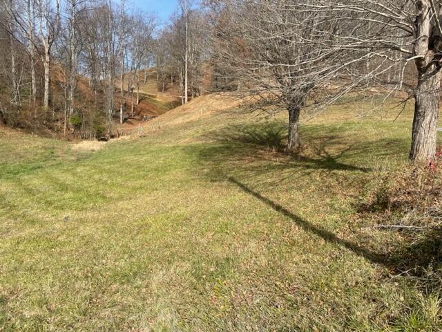 2041 Gregory Road Kingsport, TN 37665 - Photo 7 of 9 IMG_3859