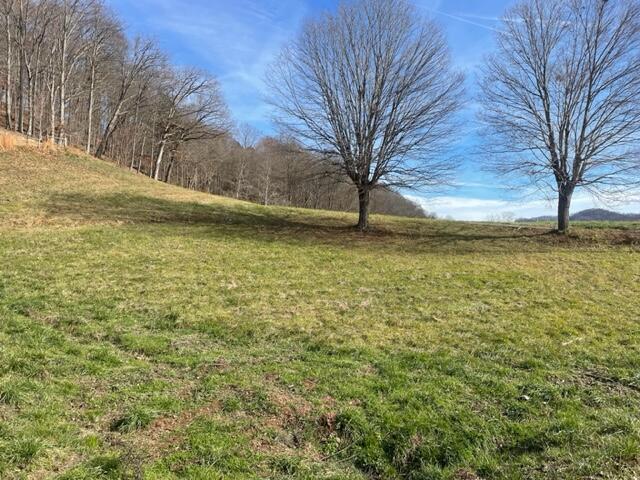 2041 Gregory Road Kingsport, TN 37665 - Photo 8 of 9 IMG_3861