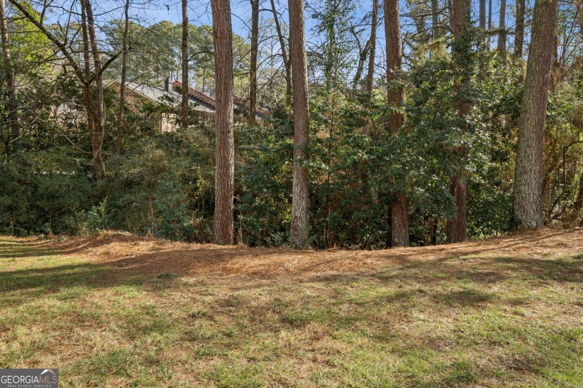 2370 Leafgate Road Decatur, GA 30033 - Photo 45 of 59