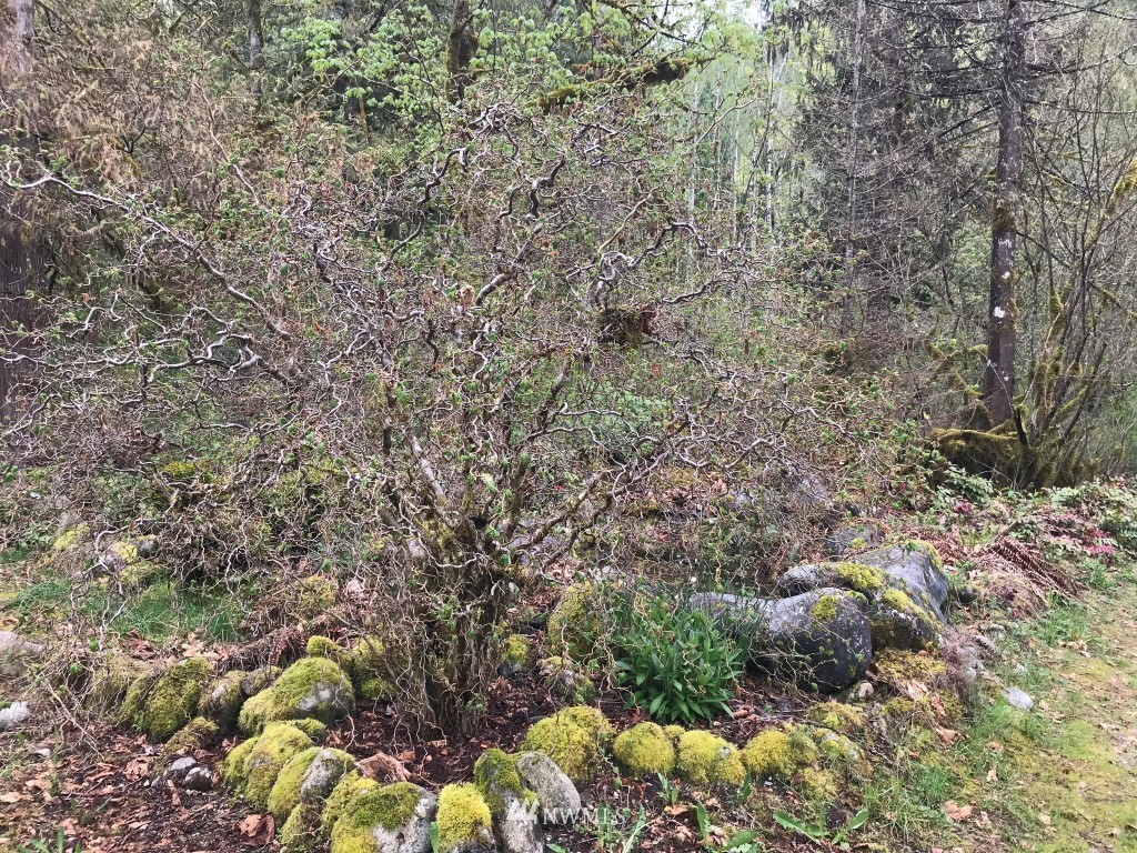 52814 Index-Galena Road Index, WA 98256 - Photo 17 of 17 Gallery Image 17