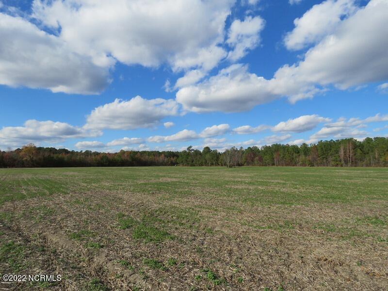 0 Lovette Road Lumberton, NC 28358 - Photo 27 of 39 IMG_6304