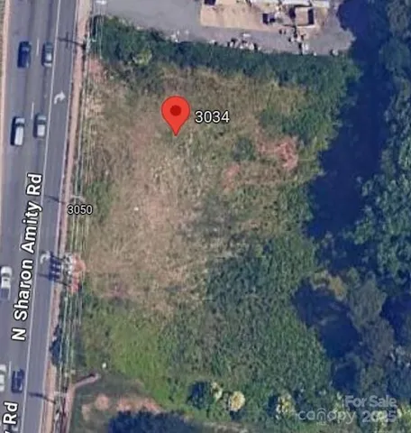 a view of a dry yard with lots of plants and trees