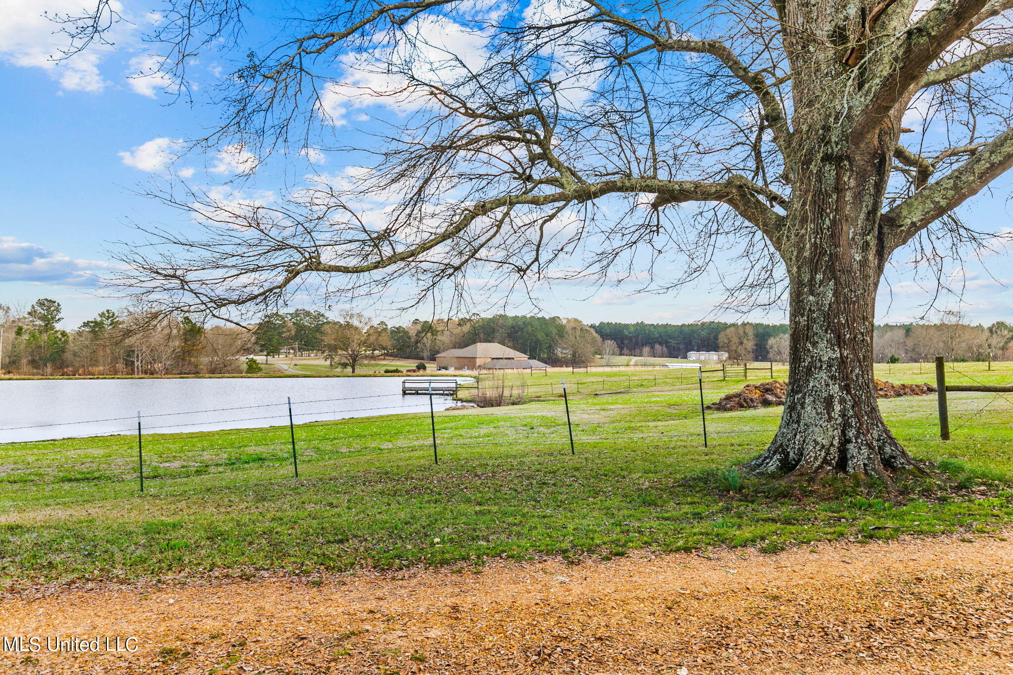 11663 Springridge Road Byram, MS 39170 - Photo 76 of 128 80-web-or-mls-11663 Springridge-80