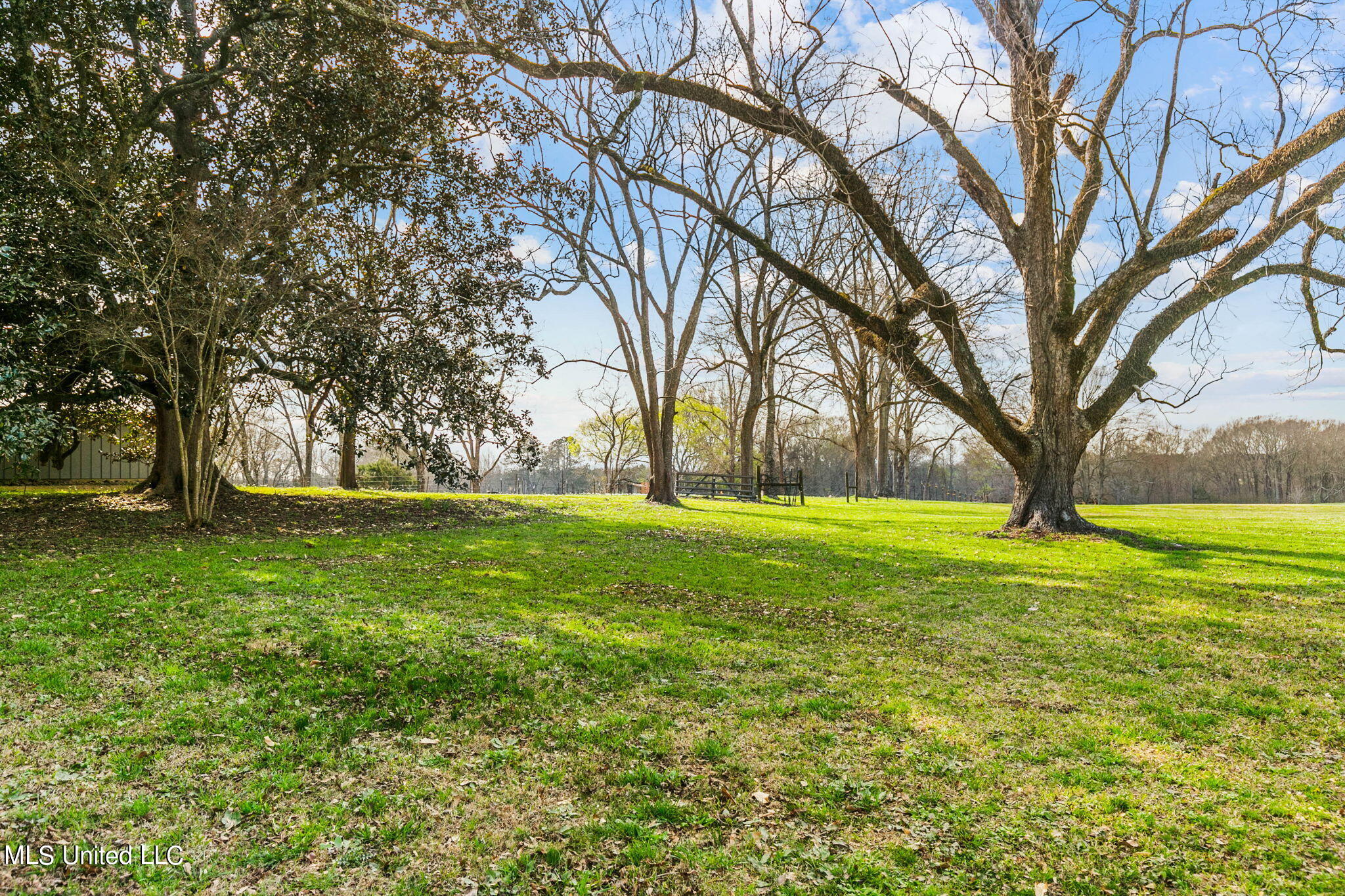11663 Springridge Road Byram, MS 39170 - Photo 77 of 128 81-web-or-mls-11663 Springridge-81