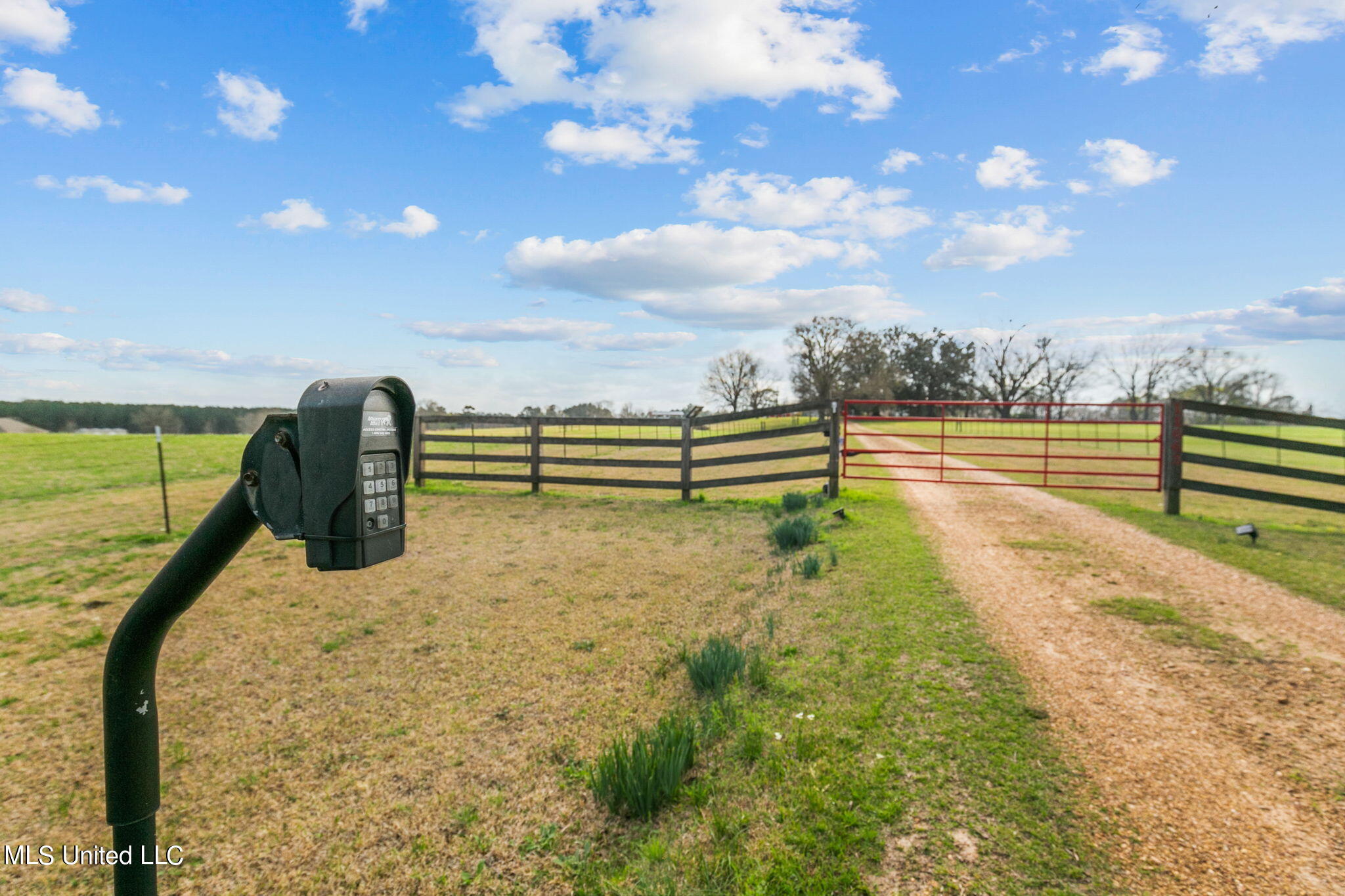11663 Springridge Road Byram, MS 39170 - Photo 86 of 128 88-web-or-mls-11663 Springridge-88