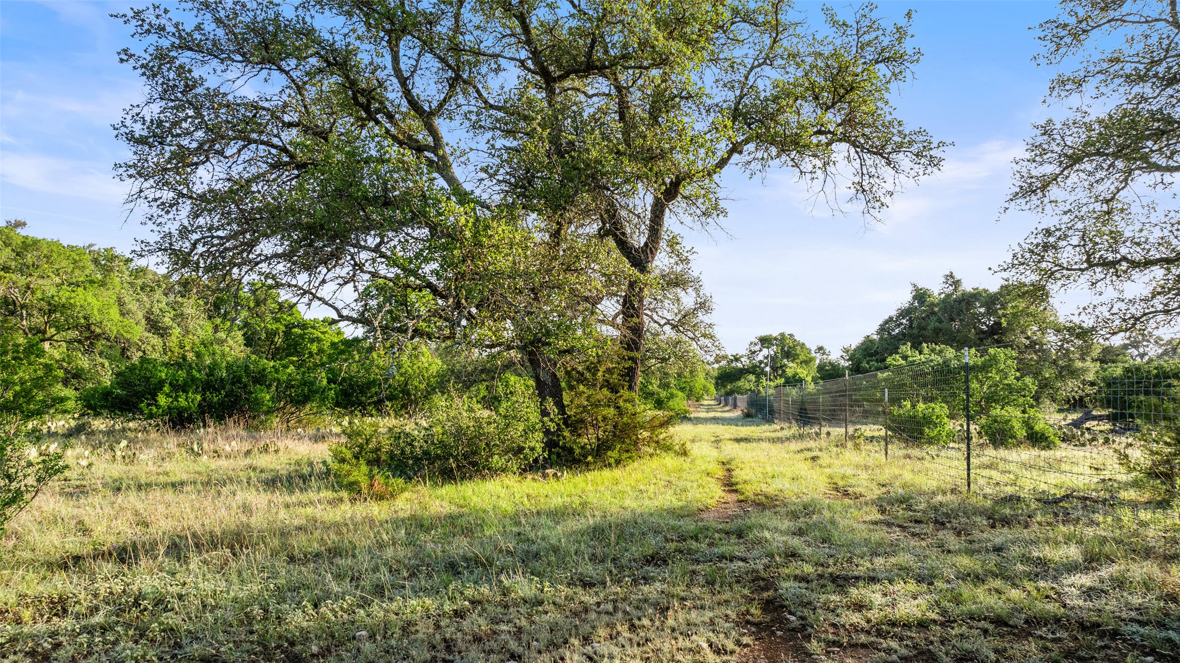Lot 4 Vista Rdg Drive Round Mountain, TX 78663 - Photo 13 of 21 View of undeveloped land