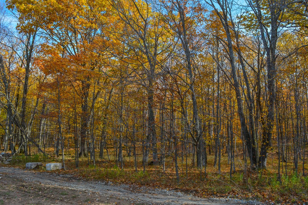 Bluff Lane Fish Creek, WI 54212 - Photo 8 of 9