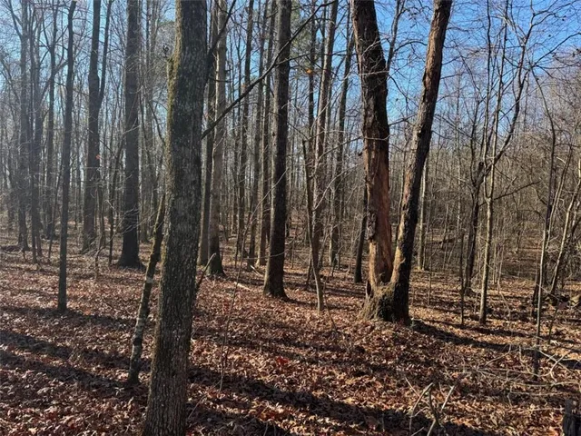 $1,600,000 | 6601 Hog Mountain Highway, Statham, GA 30666