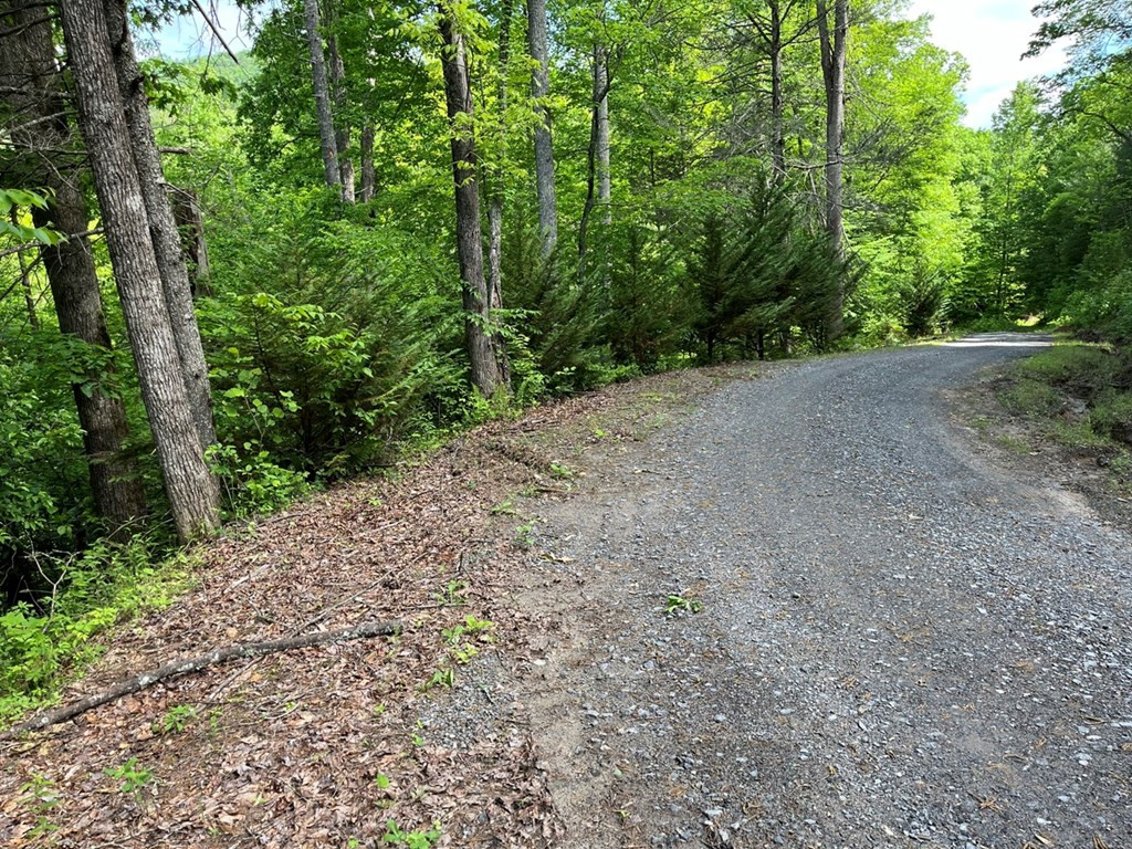 1301 Marrestop Road Murphy, NC 28906 - Photo 4 of 9