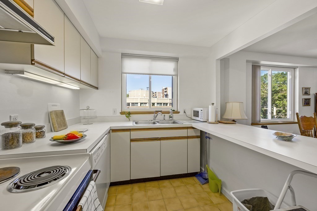 332 Franklin Street, Unit 400 Cambridge, MA 02139 - Photo 11 of 20