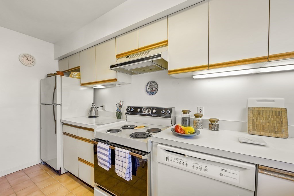 332 Franklin Street, Unit 400 Cambridge, MA 02139 - Photo 10 of 20