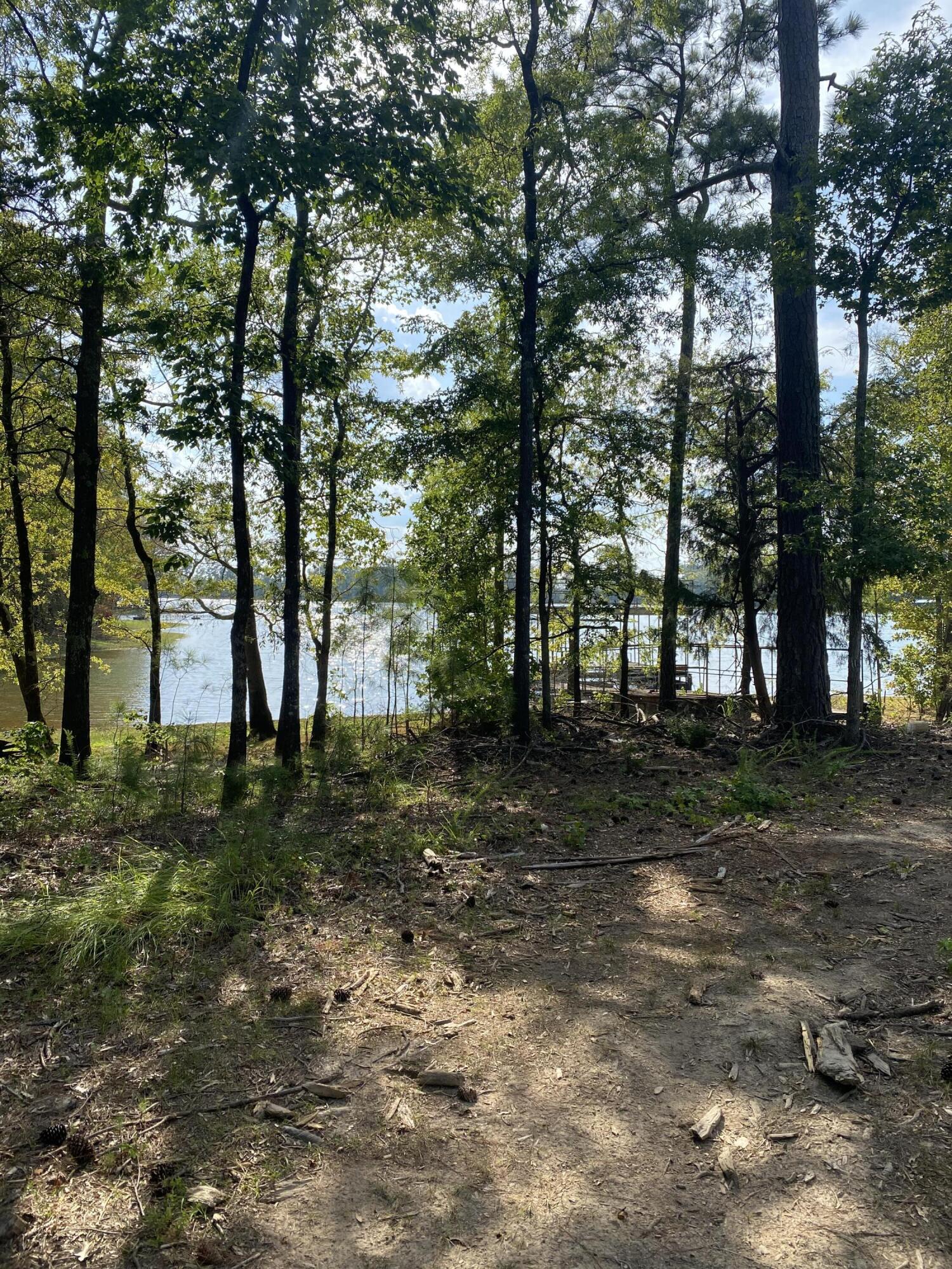Tbd Cedar Road Plum Branch, SC 29845 - Photo 8 of 11