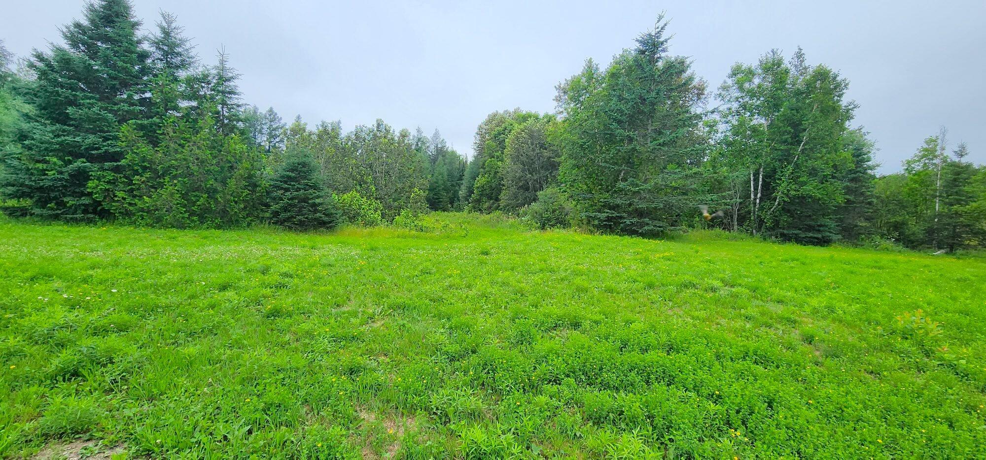 405 New Dunn Town Road Washburn, ME 04786 - Photo 12 of 51 20230716_100205