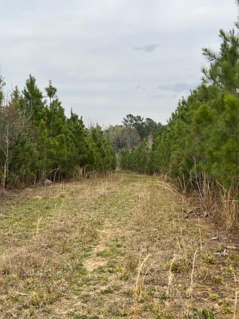 4300 Santee Road Lane, SC 29564 - Photo 6 of 10 IMG_3687