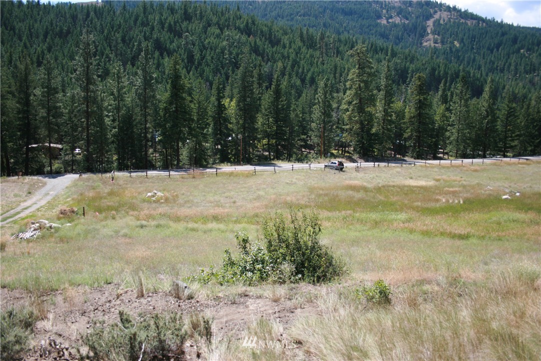 714 Twisp River Road Twisp, WA 98856 - Photo 13 of 15 Gallery Image 13