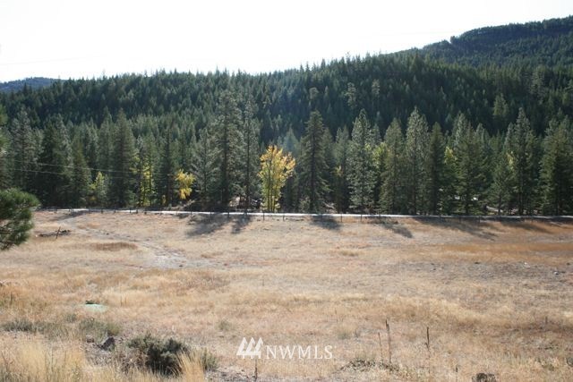 714 Twisp River Road Twisp, WA 98856 - Photo 14 of 15 Gallery Image 14