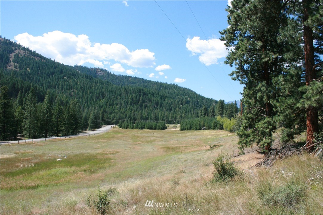 714 Twisp River Road Twisp, WA 98856 - Photo 3 of 15 Gallery Image 3