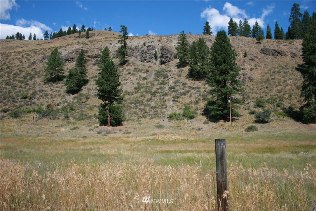 714 Twisp River Road Twisp, WA 98856 - Photo 4 of 15 Gallery Image 4