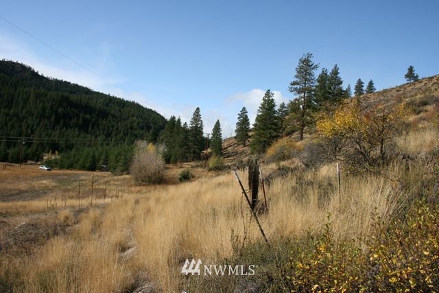 714 Twisp River Road Twisp, WA 98856 - Photo 7 of 15 Gallery Image 7