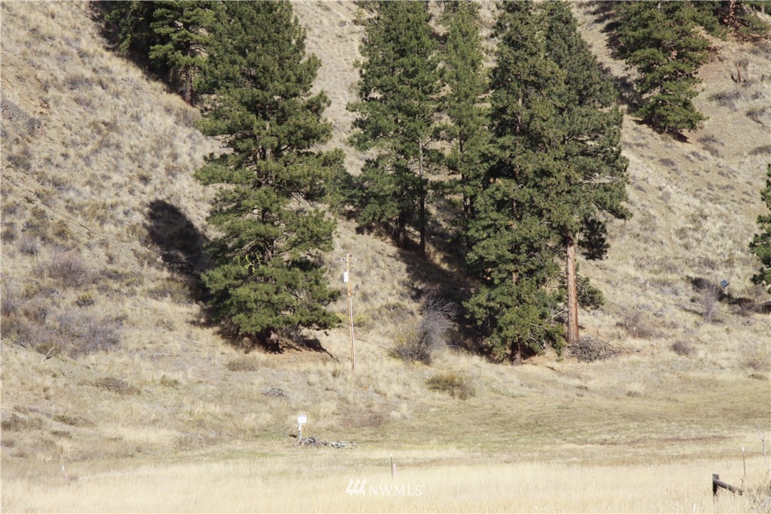 714 Twisp River Road Twisp, WA 98856 - Photo 9 of 15 Gallery Image 9