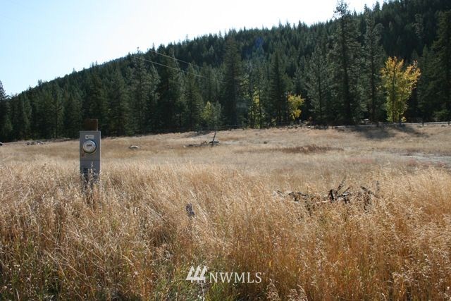 714 Twisp River Road Twisp, WA 98856 - Photo 10 of 15 Gallery Image 10