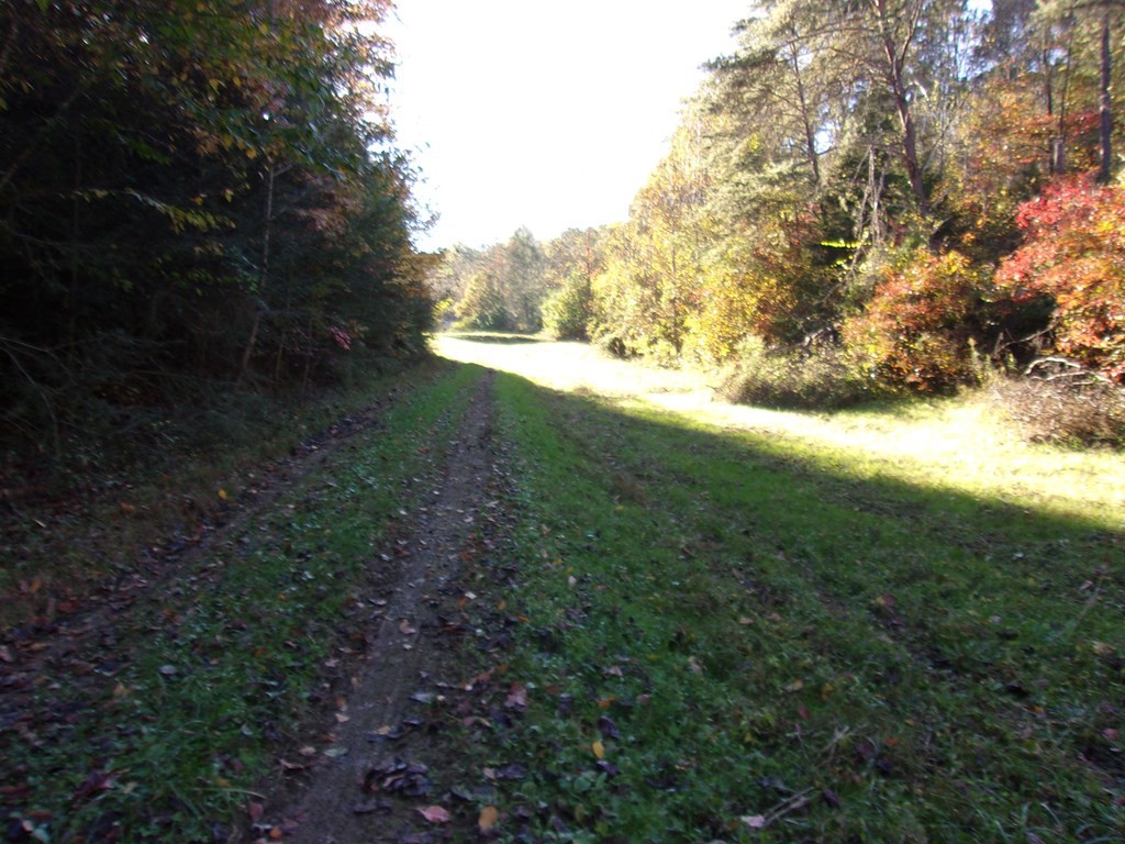 0 Oldham Creek Road Sevierville, TN 37876 - Photo 11 of 14 Gallery Image 11