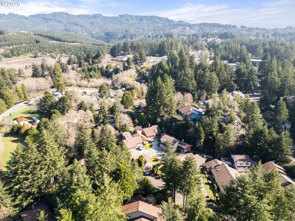 an aerial view of a forest with houses