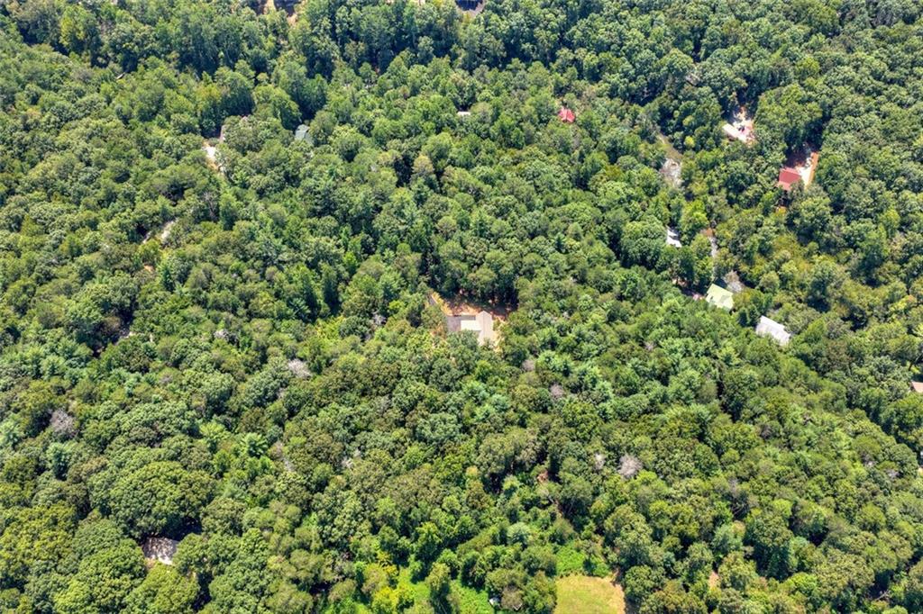 200 West Goldmine Road Ellijay, GA 30536 - Photo 72 of 74 Gallery Image 72