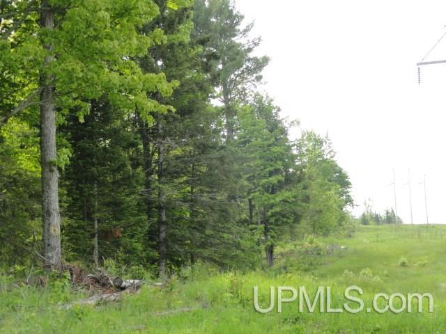 Tbd Budreau Road Baraga, MI 49908 - Photo 12 of 12 Gallery Image 12