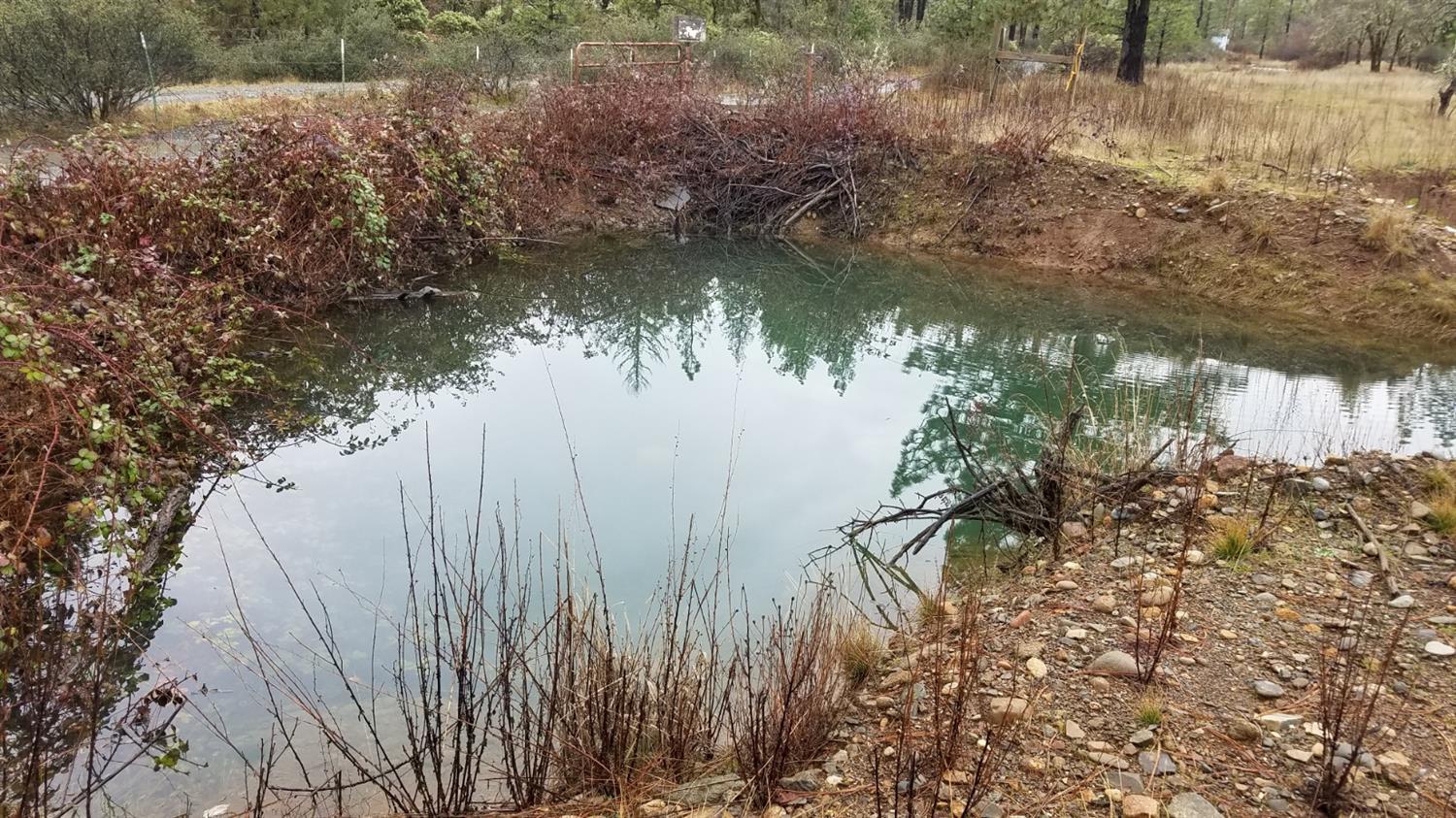 6837 West Side Road Cave Junction, OR 97523 - Photo 35 of 35 Spring-fed pond used to irrigate garden.