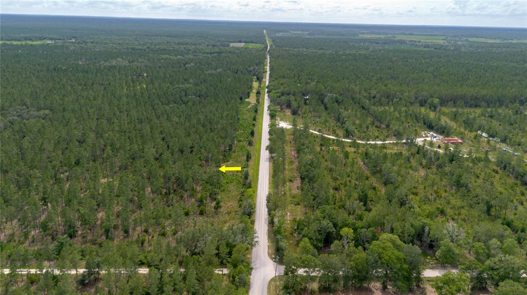 Northeast 90th Street Road Fort McCoy, FL 32134 - Photo 11 of 25