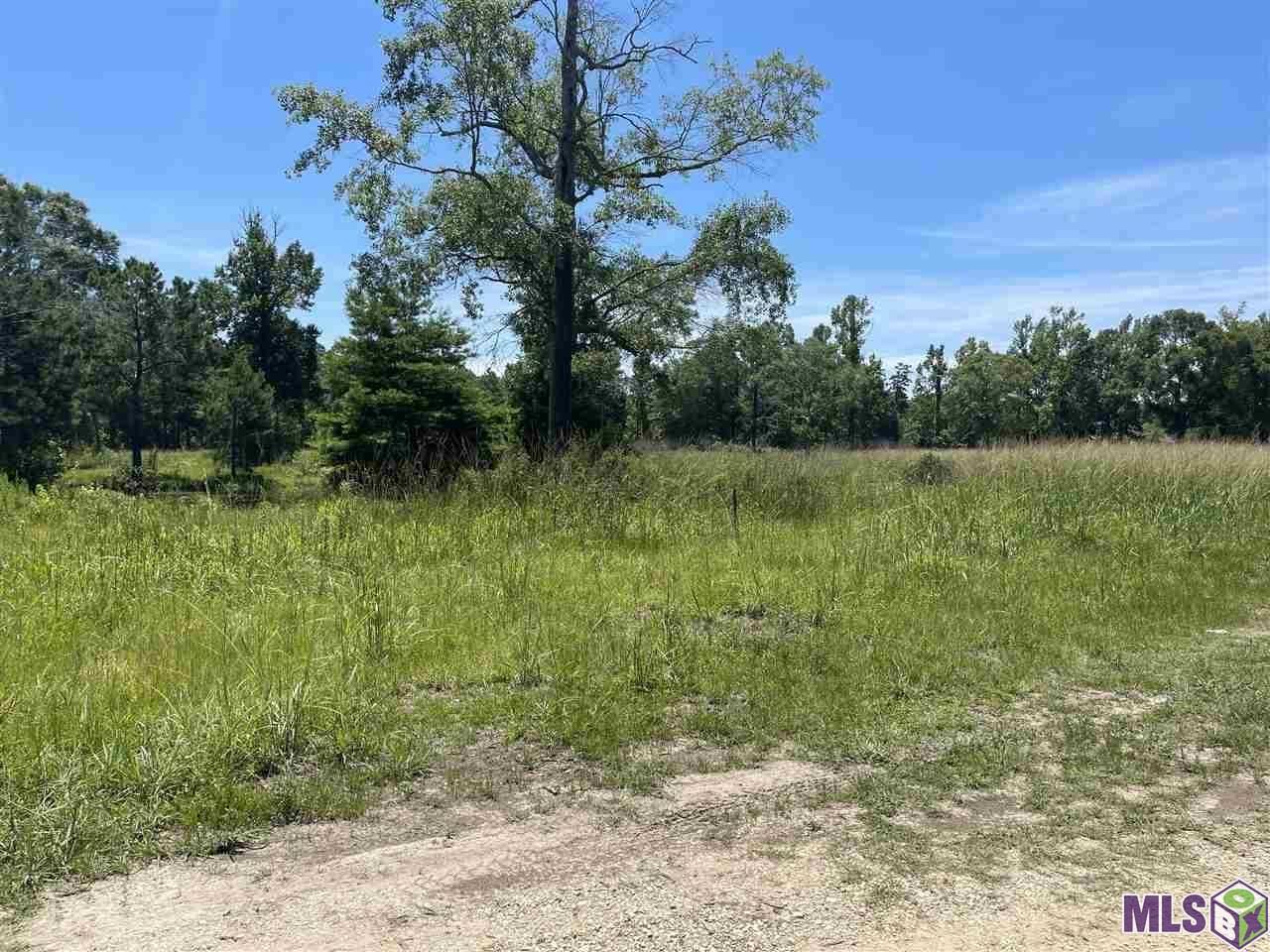 34235 Cane Market Road Walker, LA 70785 - Photo 2 of 5