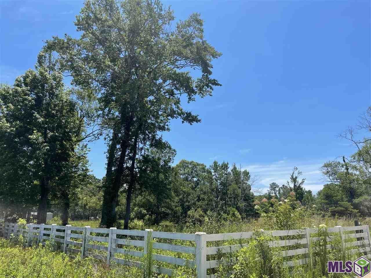 34235 Cane Market Road Walker, LA 70785 - Photo 4 of 5