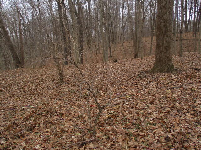 2.36-ac Johns Road Butler, KY 41006 - Photo 2 of 6 Gallery Image 2