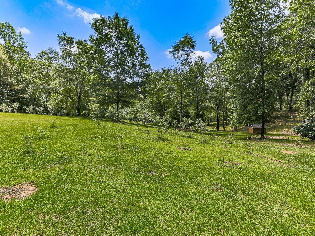 397 Thomas Road Dallas, GA 30132 - Photo 106 of 108