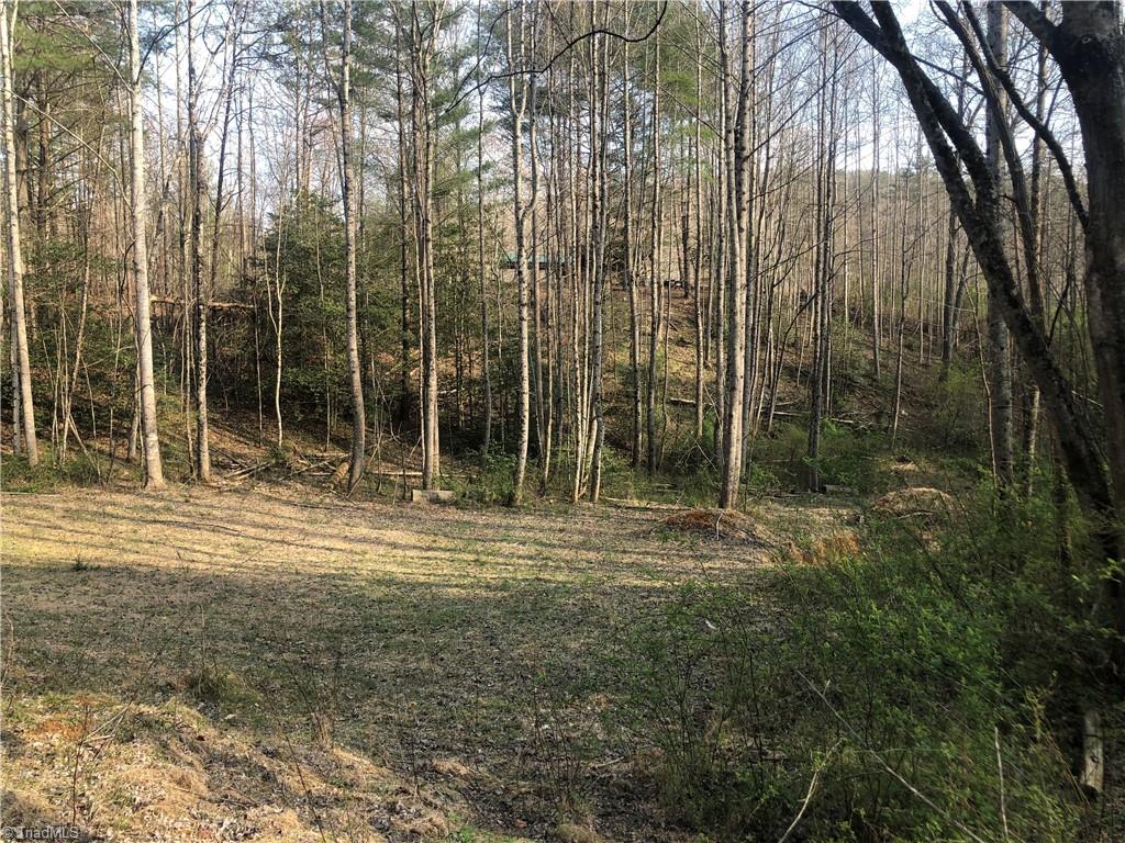 435 Long Branch Road Claudville, VA 24076 - Photo 9 of 22 Gallery Image 9