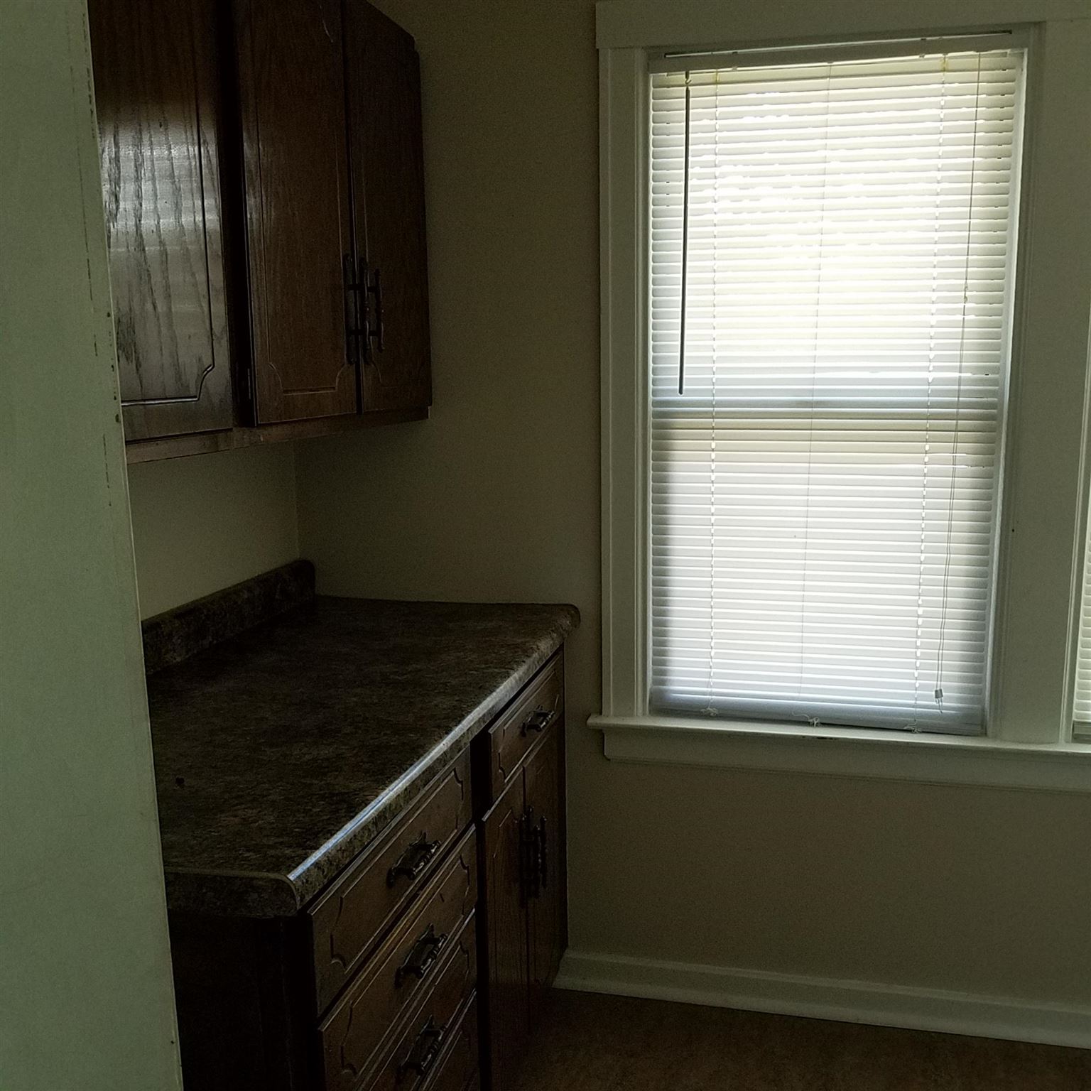 1229 Spring Street Fort Wayne, IN 46808 - Photo 4 of 10