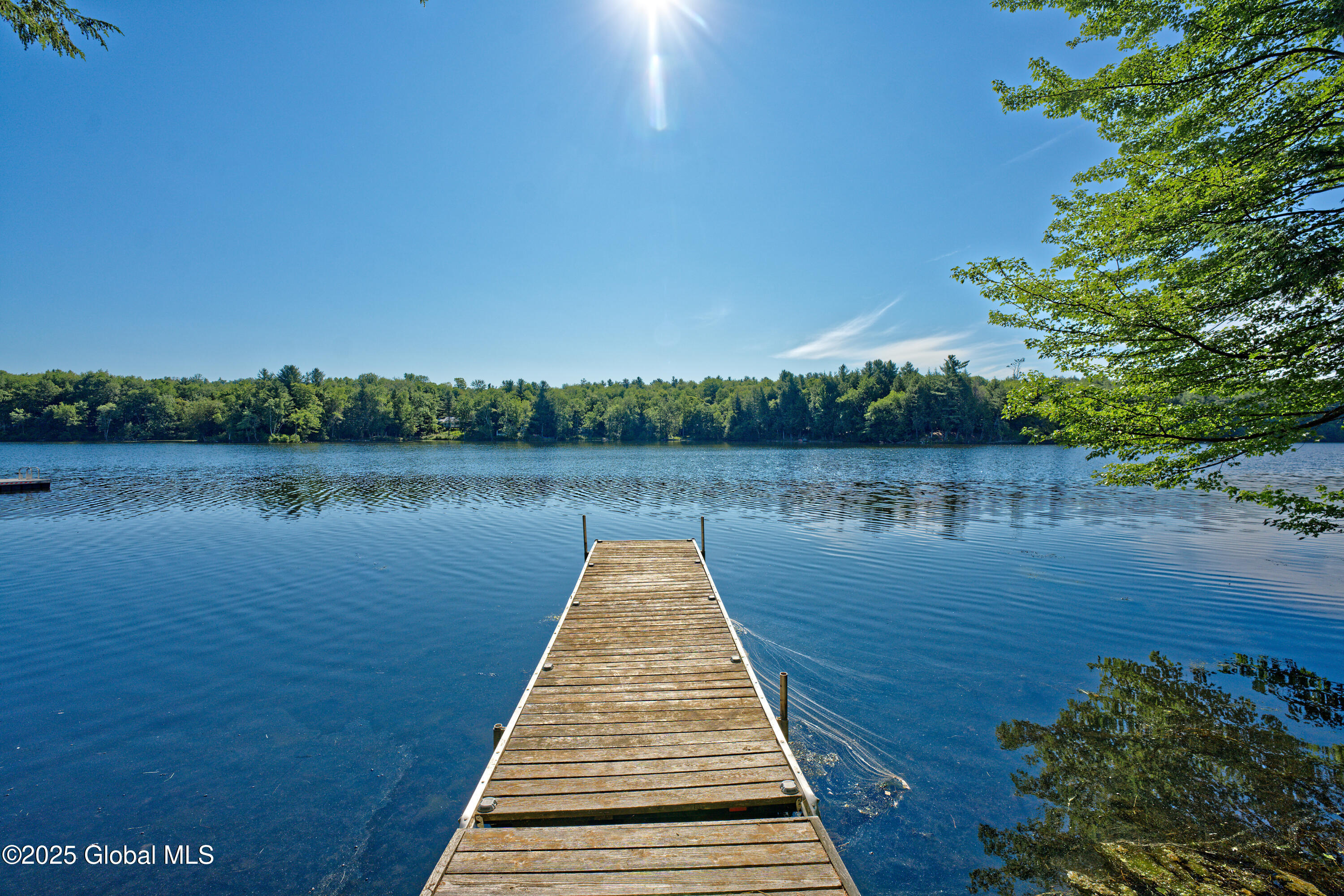 160 Lake Road Westerlo, NY 12023 - Photo 34 of 55 Yard 6