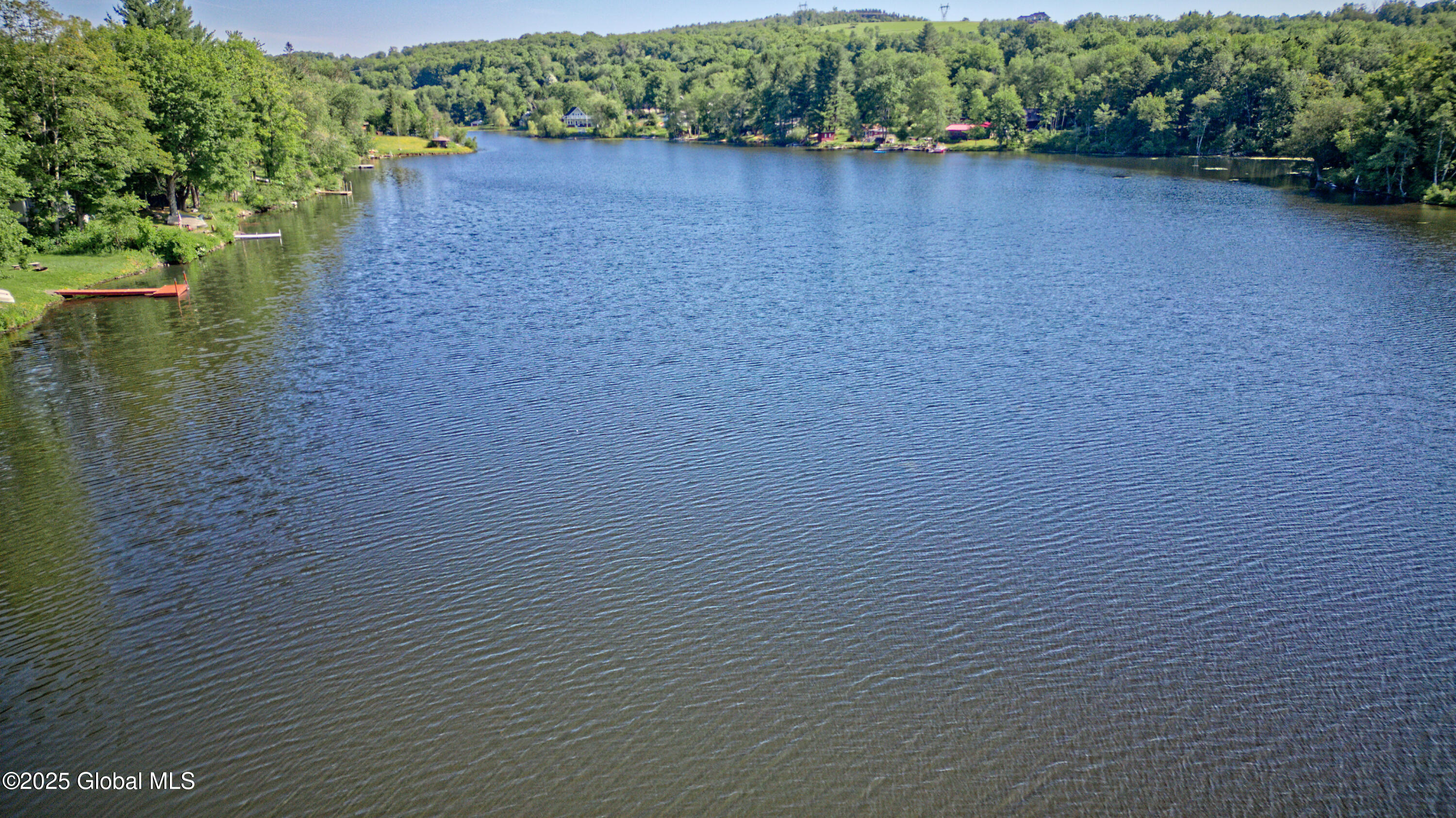 160 Lake Road Westerlo, NY 12023 - Photo 49 of 55 Air Lake 3